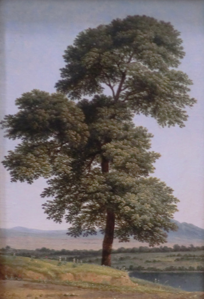 Study of a Tree by  the Tiber, vintage artwork by Louis Gauffier, 12x8" (A4) Poster