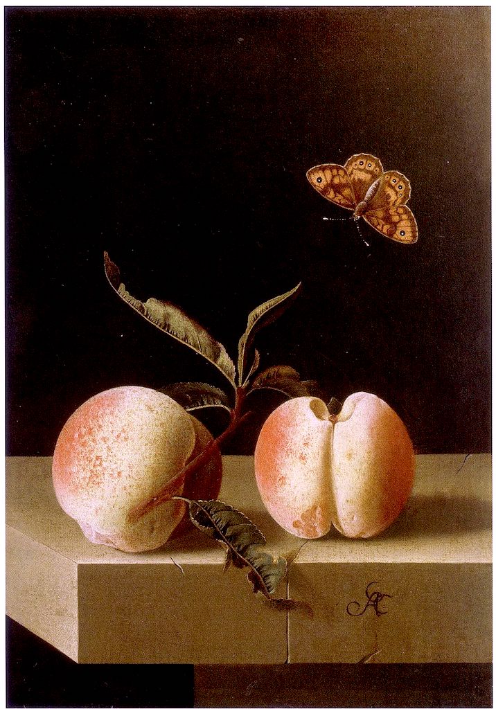 Two Peaches and a Fitillary Butterfly on a Stone Plinth, vintage artwork by Adriaen Coorte, 12x8" (A4) Poster