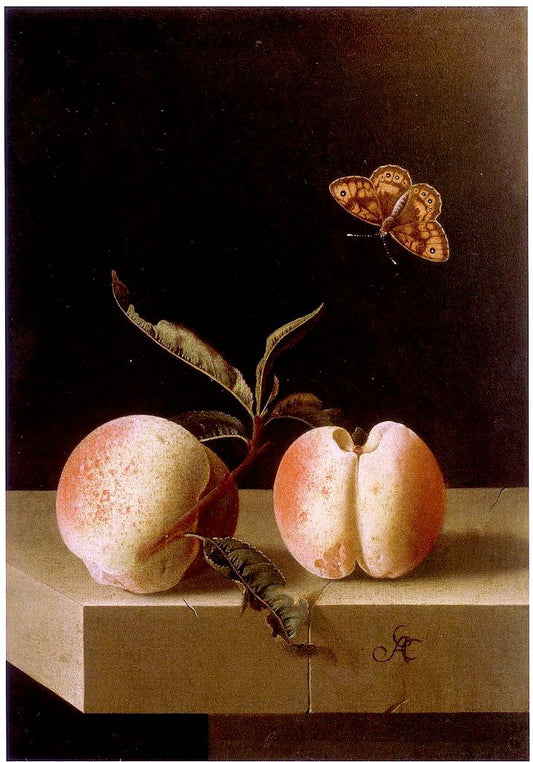 Two Peaches and a Fitillary Butterfly on a Stone Plinth, vintage artwork by Adriaen Coorte, 12x8" (A4) Poster