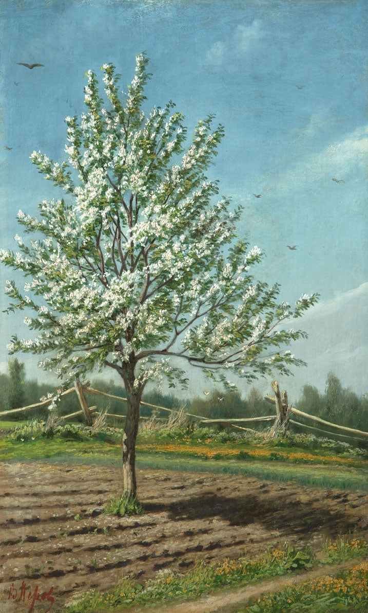 Apple Tree in Blossom, vintage artwork by Vasily Grigoryevich Perov, 12x8" (A4) Poster