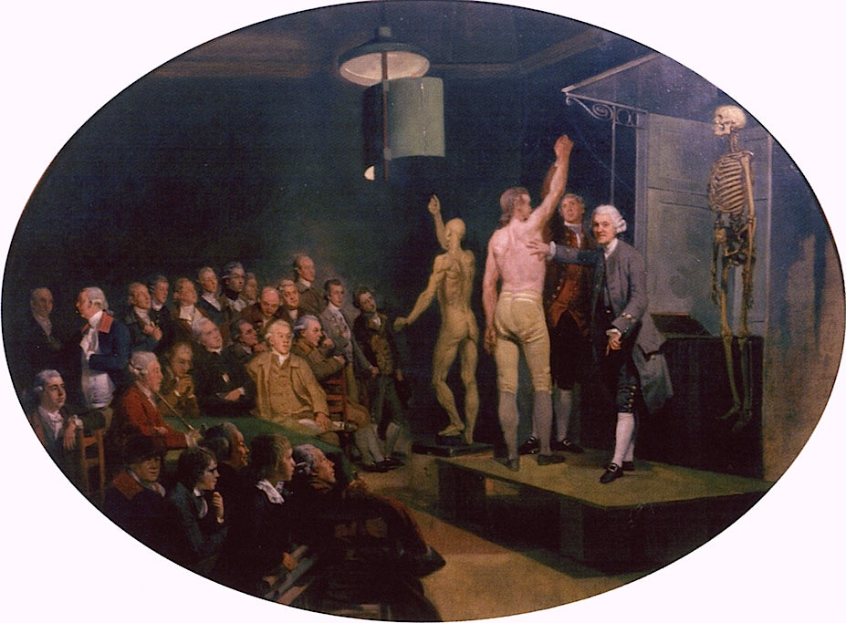 Dr William Hunter Teaching Anatomy at the Royal Academy, vintage artwork by Johann Zoffany, 12x8" (A4) Poster