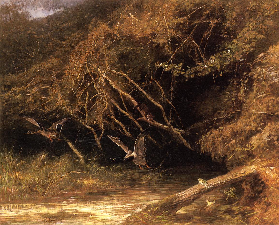 Forest with Ducks and Frogs, vintage artwork by Karl Bodmer, A3 (16x12") Poster Print