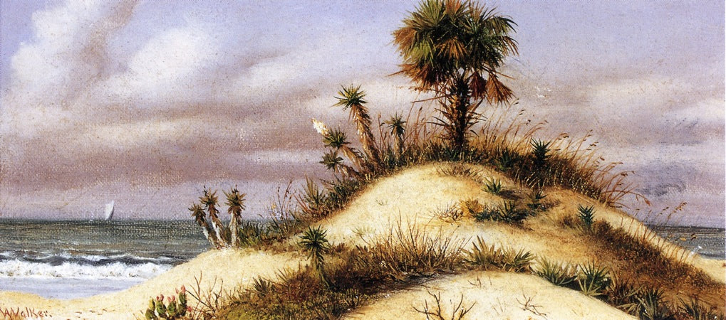 Florida Seascape with Sand Dune, Palm Tree, Yucca, Cactus and Sailboat, vintage artwork by William Aiken Walker, 12x8" (A4) Poster