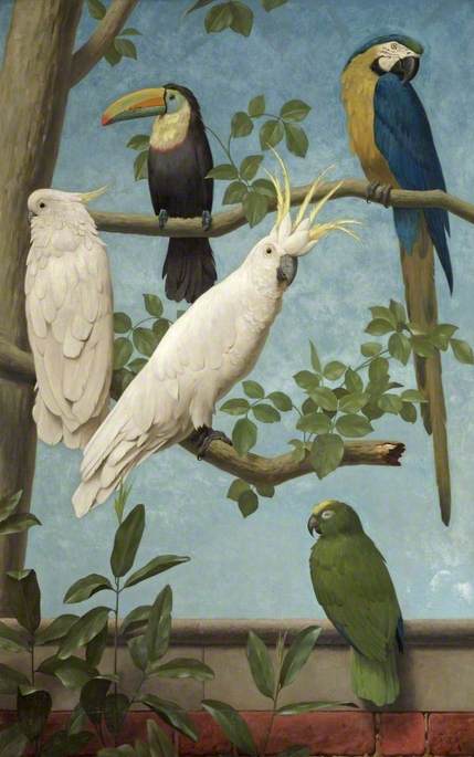 Cockatoos, Toucan, Macaw and a Parrot, vintage artwork by Henry Stacy Marks, 12x8" (A4) Poster