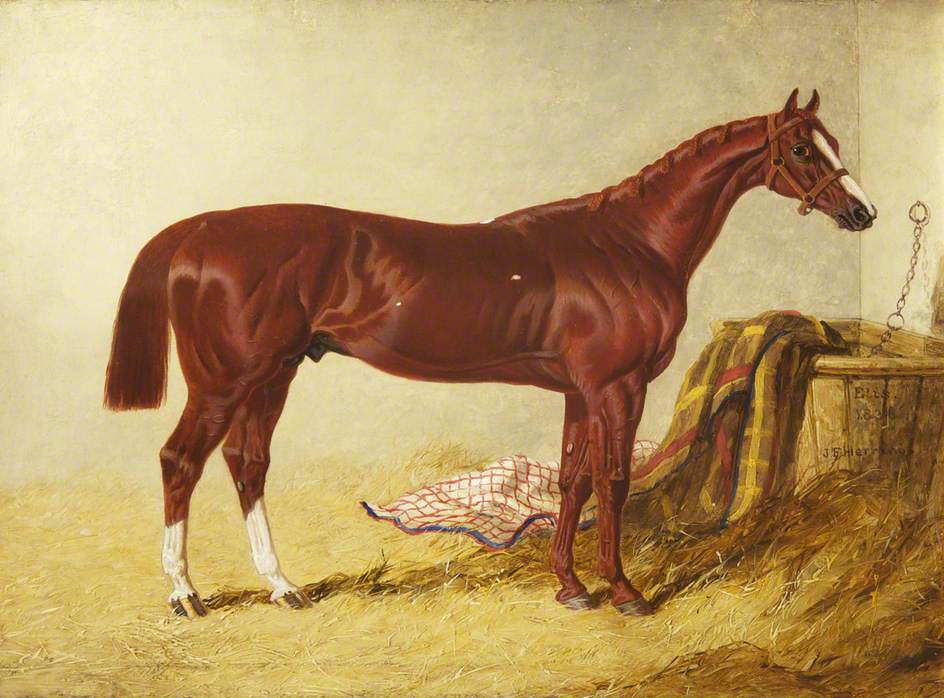 Elis, Winner of the St Leger Stakes, 1836, in a Loose Box, vintage artwork by John Frederick Herring, Sr, A3 (16x12") Poster Print