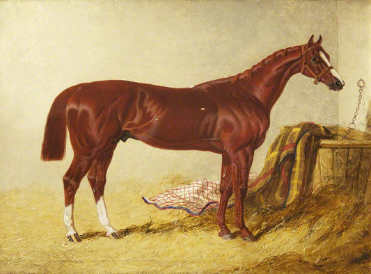 Elis, Winner of the St Leger Stakes, 1836, in a Loose Box, vintage artwork by John Frederick Herring, Sr, A3 (16x12") Poster Print