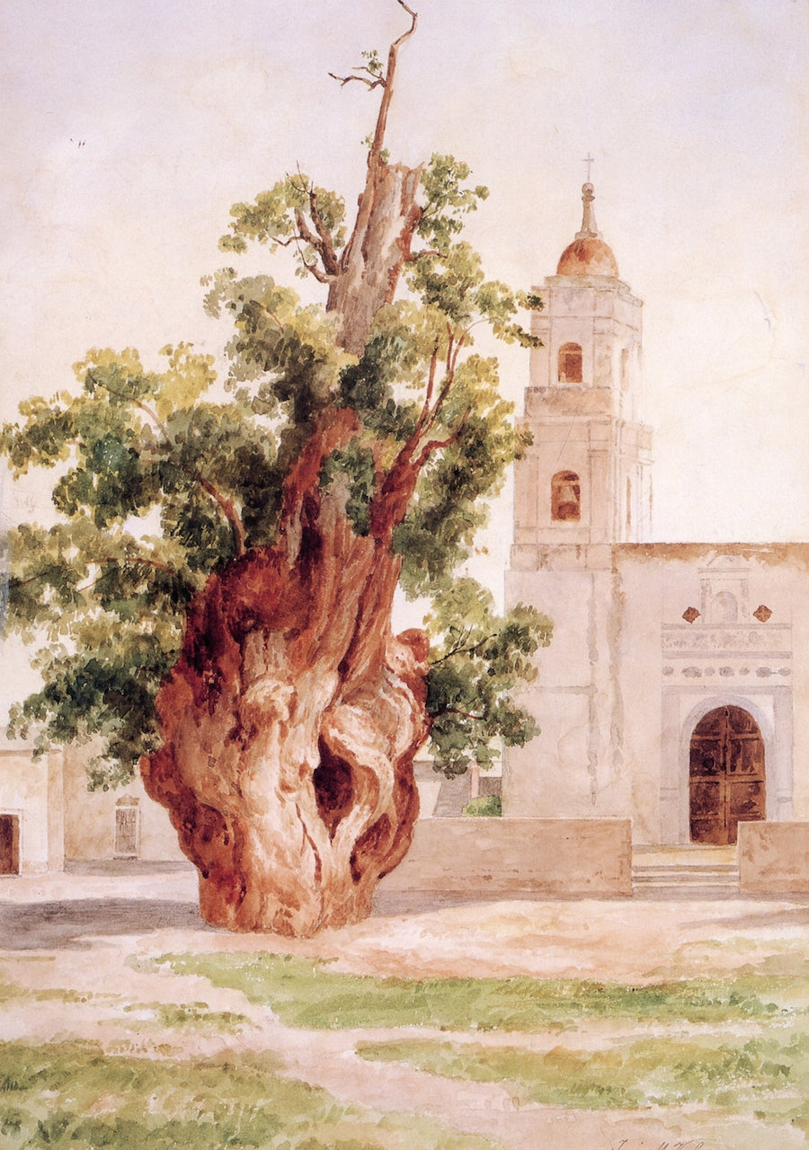 Árbol de la Noche Triste, vintage artwork by Jose María Velasco, 12x8" (A4) Poster