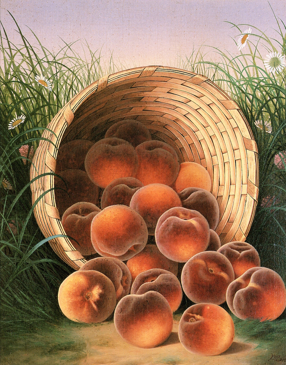A Basket of Peaches Upset, vintage artwork by William Mason Brown, 12x8" (A4) Poster