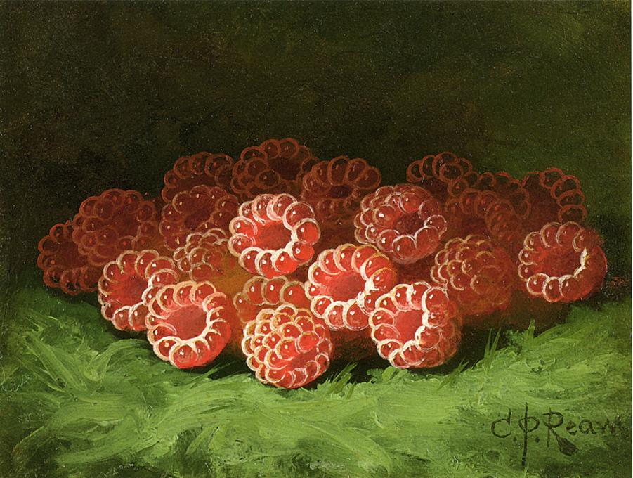 Still Life with Raspberies, vintage artwork by Carducius Plantagenet Ream, 12x8" (A4) Poster