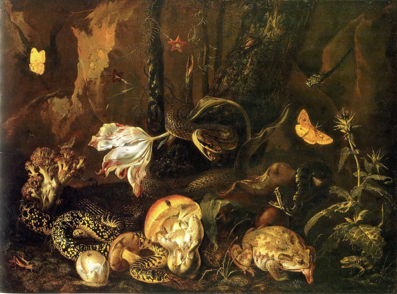 Still Life with Snakes, Frogs, Mushrooms, Flowers and Butterflies, vintage artwork by Otto van Schrieck, 12x8" (A4) Poster