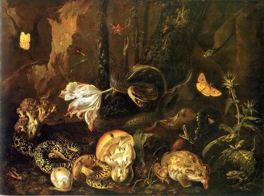 Still Life with Snakes, Frogs, Mushrooms, Flowers and Butterflies, vintage artwork by Otto van Schrieck, 12x8" (A4) Poster