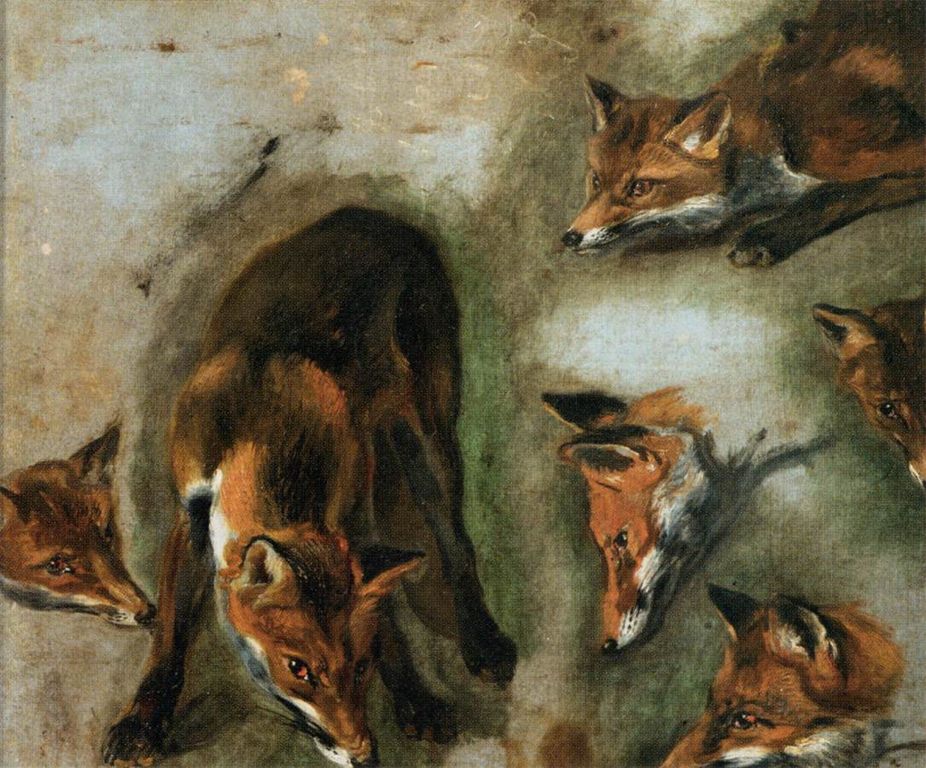 Studies of a Fox, vintage artwork by Pieter Boel, 12x8" (A4) Poster
