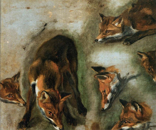 Studies of a Fox, vintage artwork by Pieter Boel, 12x8" (A4) Poster