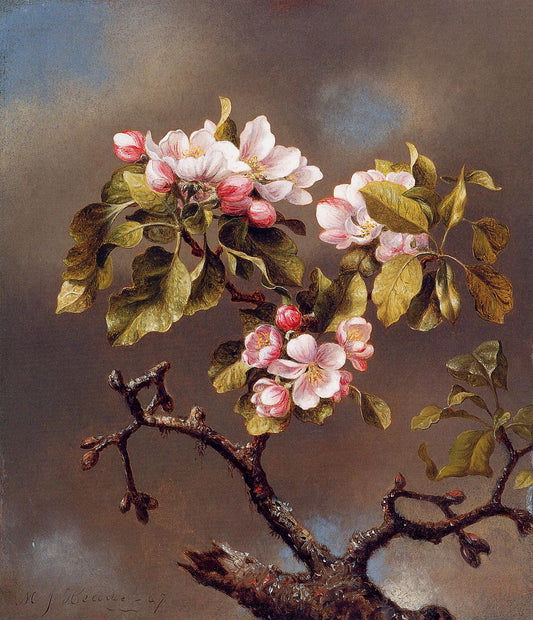 Branch of Apple Blossoms against a Cloudy Sky, vintage artwork by Martin Johnson Heade, A3 (16x12") Poster Print