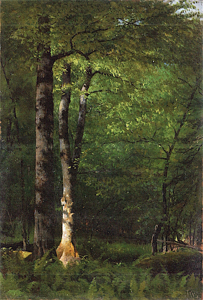 Beeches and Ferns, vintage artwork by Jervis McEntee, 12x8" (A4) Poster