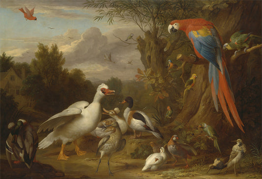 A Macaw, Ducks, Parrots and Other Birds in a Landscape, vintage artwork by Jakob Bogdány, 12x8" (A4) Poster