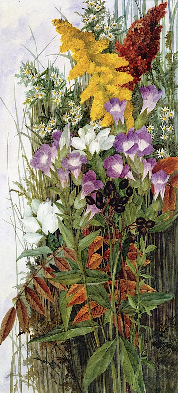 Wildflowers, vintage artwork by Ellen Robbins, 12x8" (A4) Poster