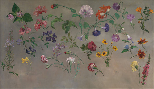 Studies of Flowers, vintage artwork by Jacques-Laurent Agasse, 12x8" (A4) Poster