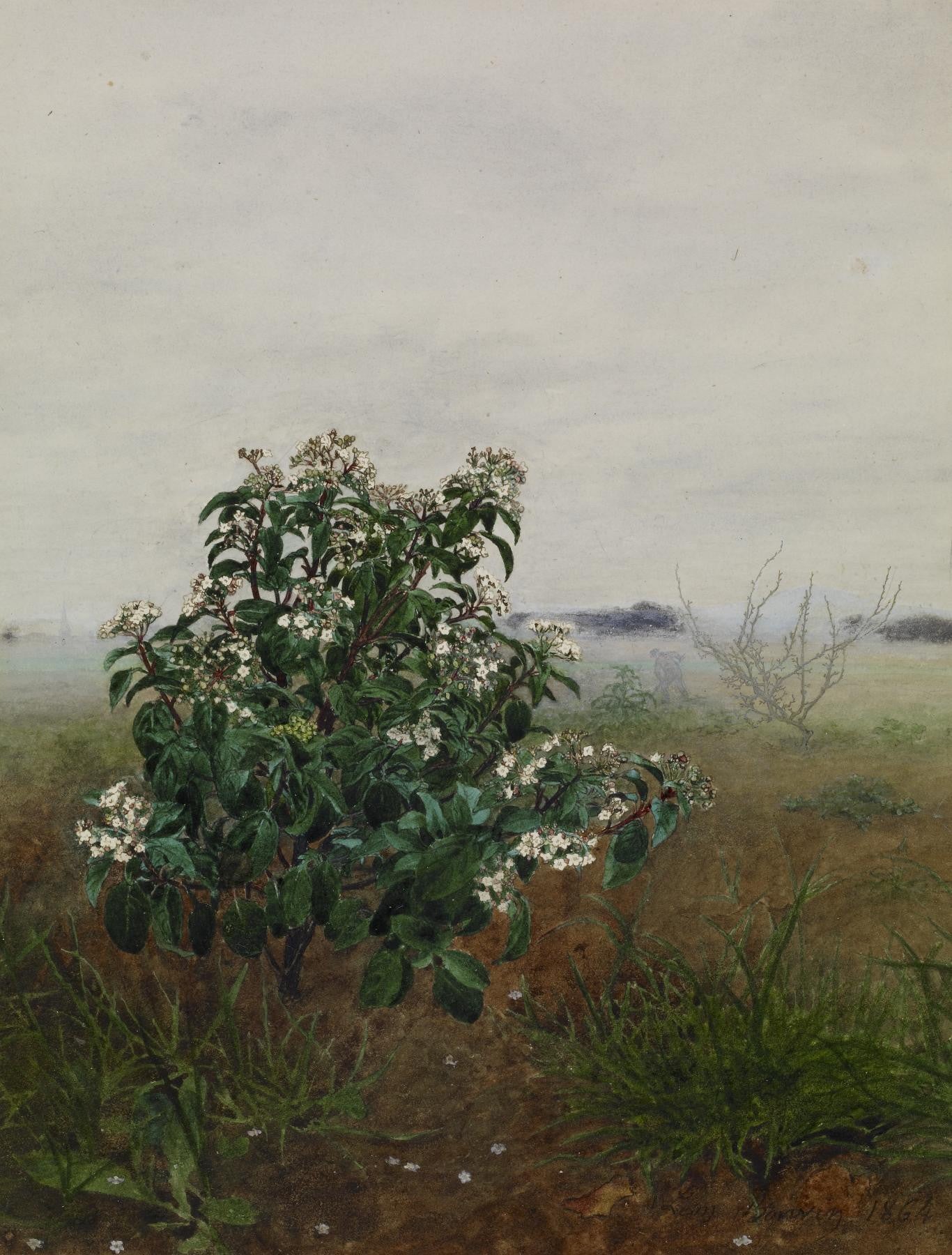 The Flowering Shrub, vintage artwork by Leon Bonvin, 12x8" (A4) Poster