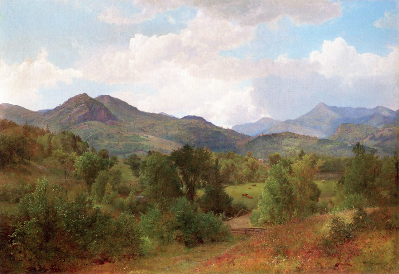 Bouquet Valley in the Adirondacks, vintage artwork by William Trost Richards, 12x8" (A4) Poster