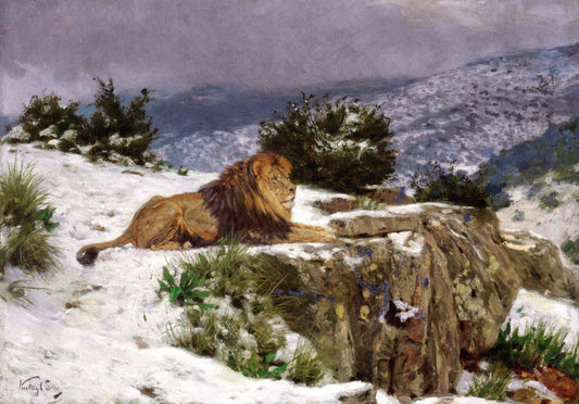 A Lion in the Snow by Geza Vastagh,A3(16x12")Poster
