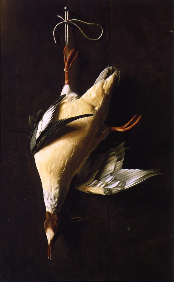 Merganser, vintage artwork by William Michael Harnett, 12x8" (A4) Poster