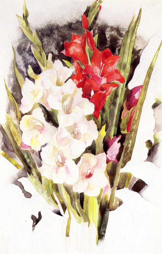 Gladiolus by Charles Demuth,16x12(A3) Poster
