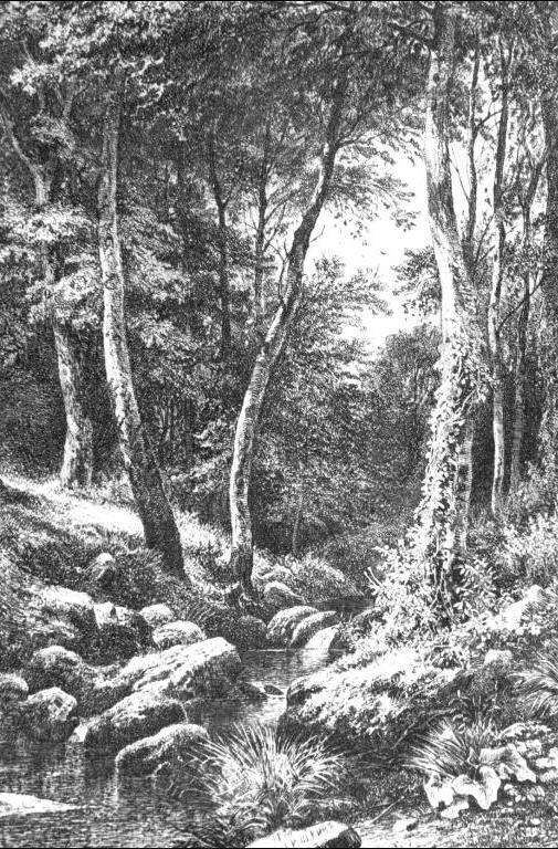 Brook in Forest, vintage artwork by Ivan Ivanovich Shishkin, 12x8" (A4) Poster