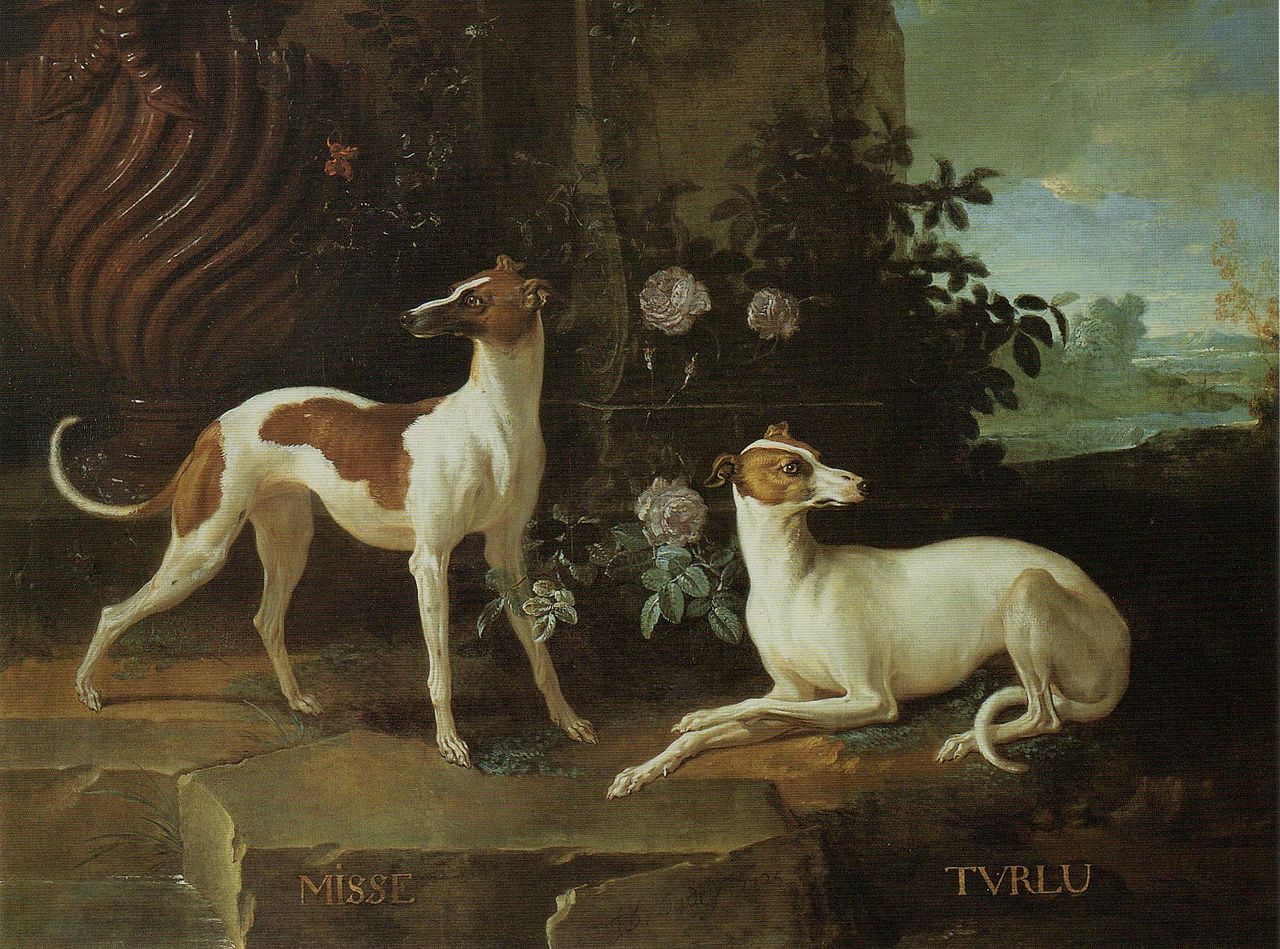 Misse and Turlu, Two Greyhounds Belonging to Louis XV, vintage artwork by Jean-Baptiste Oudry, 12x8" (A4) Poster