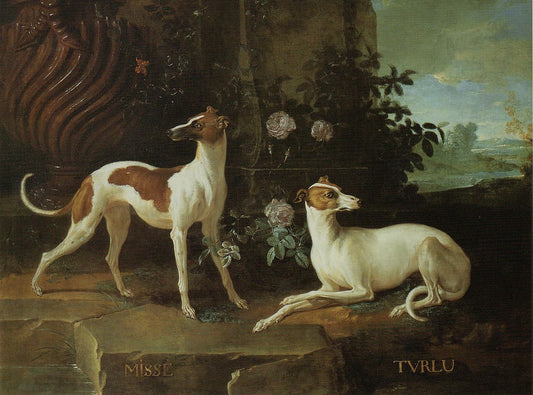 Misse and Turlu, Two Greyhounds Belonging to Louis XV, vintage artwork by Jean-Baptiste Oudry, 12x8" (A4) Poster