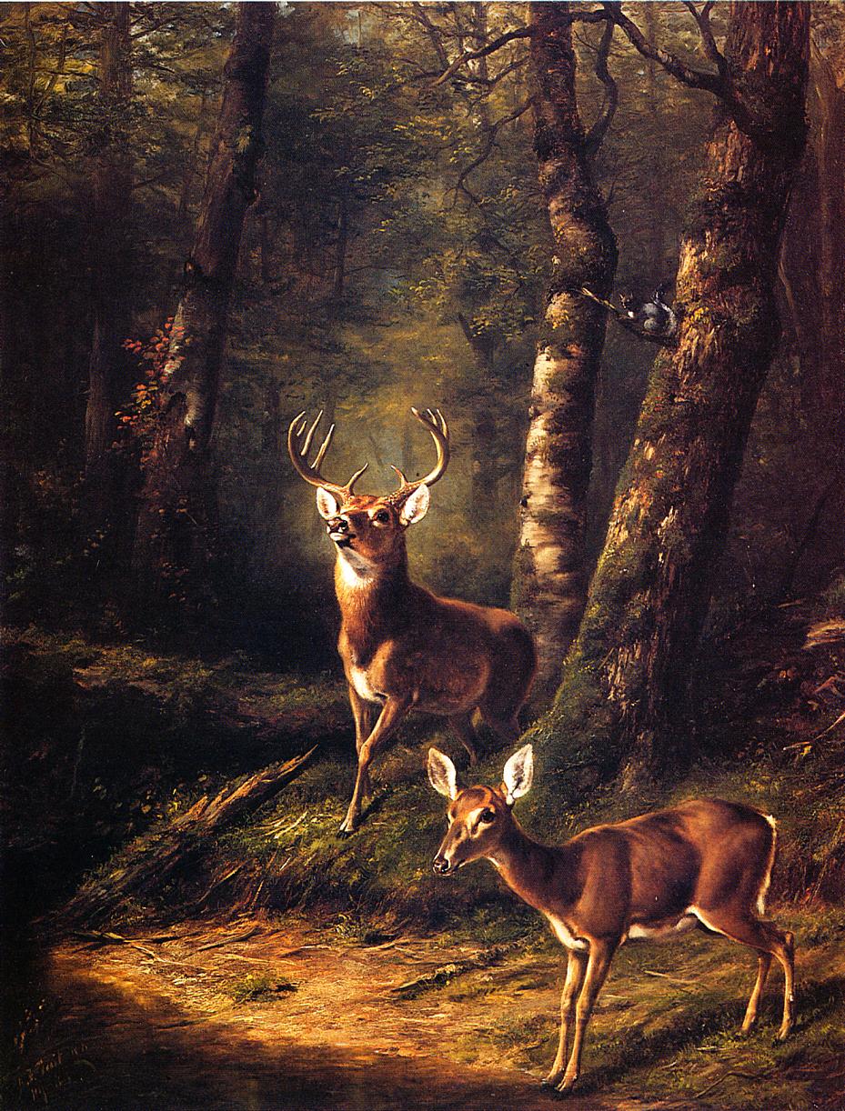 The Forest: Adirondacks, vintage artwork by Arthur Fitzwilliam Tait, A3 (16x12") Poster Print