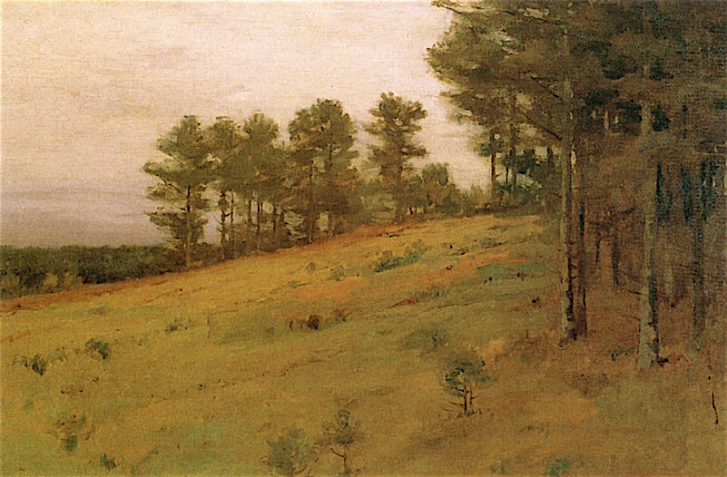 Hillside Pines by Charles Warren Eaton,A3(16x12")Poster