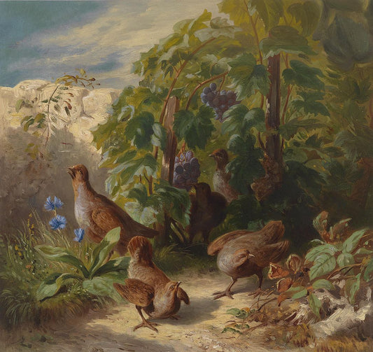 Partridges, vintage artwork by Joseph Schuster, A3 (16x12") Poster Print
