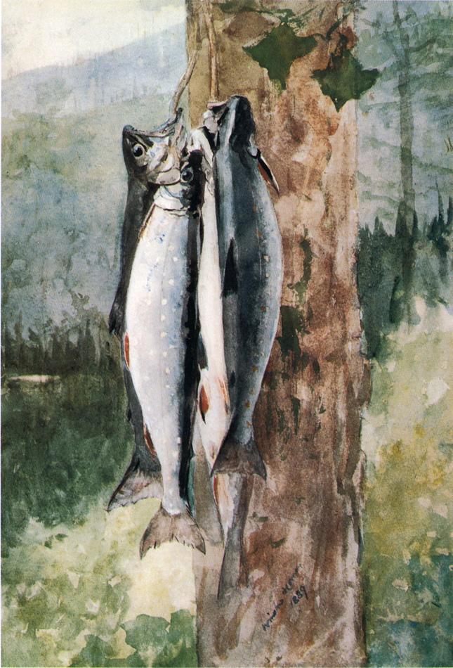 Adirondack Catch, vintage artwork by Winslow Homer, 12x8" (A4) Poster