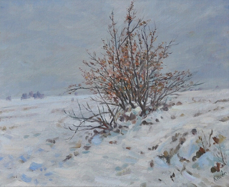 Snowy Shrub, vintage artwork by František Kaván, 12x8" (A4) Poster