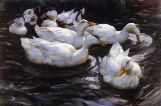 Six Ducks in a Pond, vintage artwork by Alexander Koester, 12x8" (A4) Poster