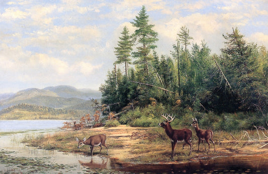 Long Lake, vintage artwork by Arthur Fitzwilliam Tait, A3 (16x12") Poster Print