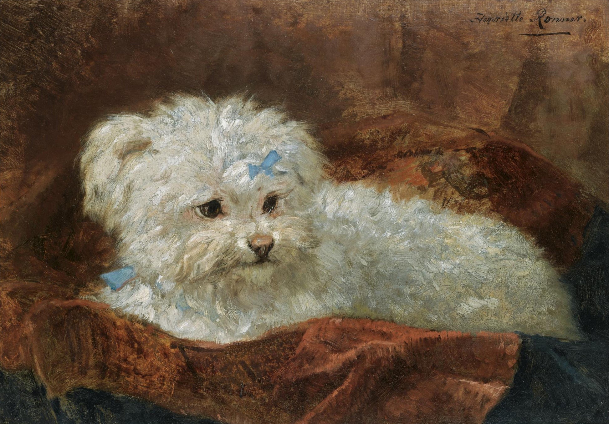 A Maltese, vintage artwork by Henriette Ronner-Knip, A3 (16x12") Poster Print