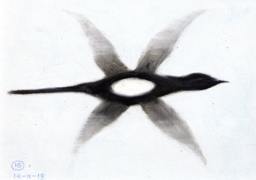Magpie in Flight, vintage artwork by Hans Emmenegger, 12x8" (A4) Poster