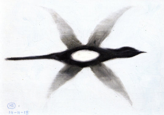 Magpie in Flight, vintage artwork by Hans Emmenegger, 12x8" (A4) Poster