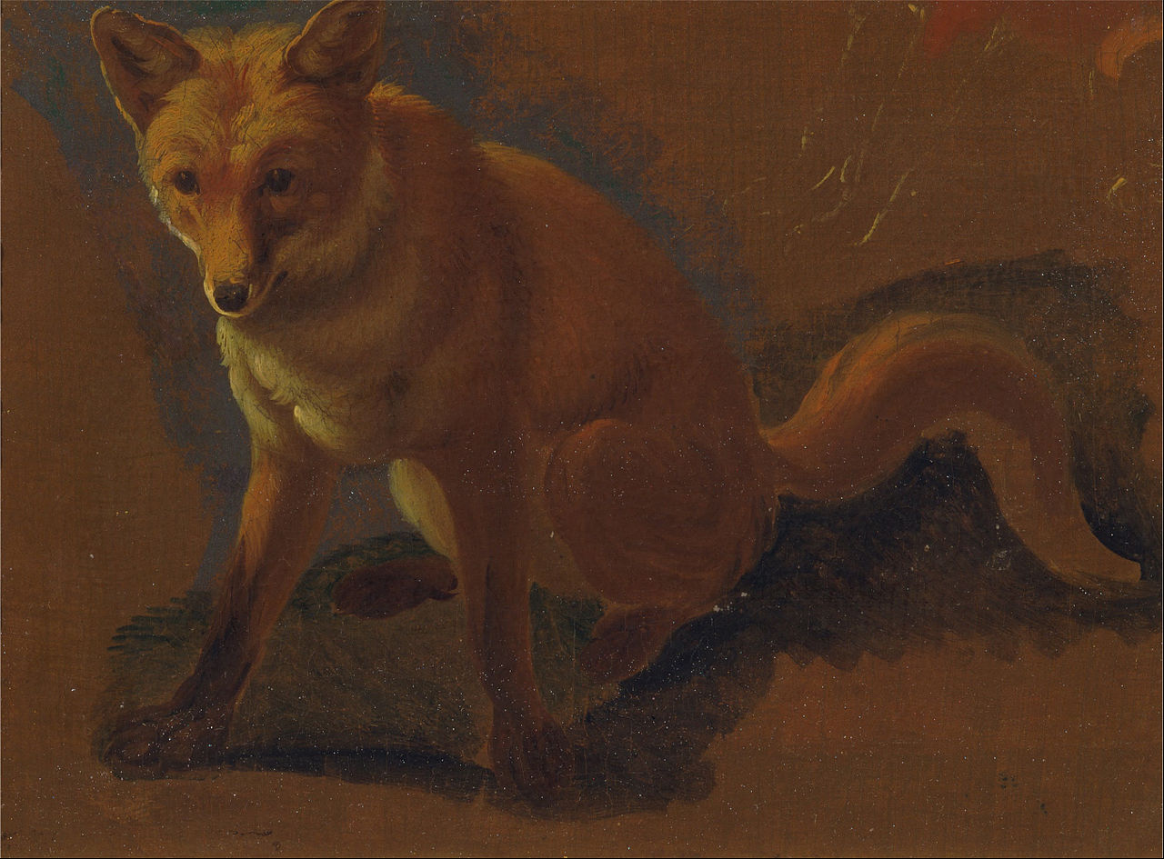 Study of a Fox, vintage artwork by Jacques-Laurent Agasse, 12x8" (A4) Poster