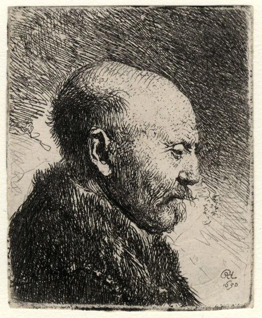 Bald Headed Man in Profile - the Artist's Father ?, vintage artwork by Rembrandt van Rijn, 12x8" (A4) Poster