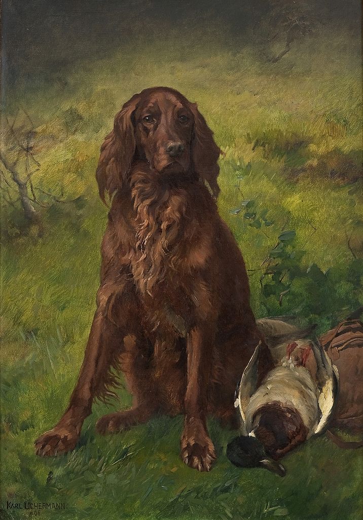 Irish Setter with a Duck by Karl Kristian Uchermann,A3(16x12")Poster