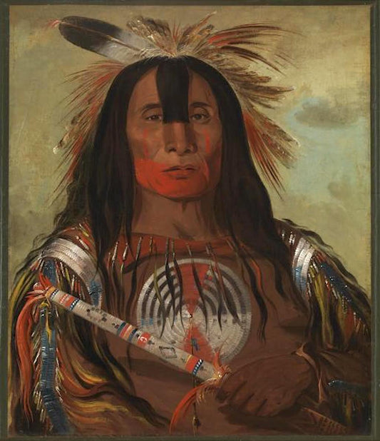 Buffalo Bull's Back Fat, Head Chief, Blood Tribe, vintage artwork by George Catlin, A3 (16x12") Poster Print