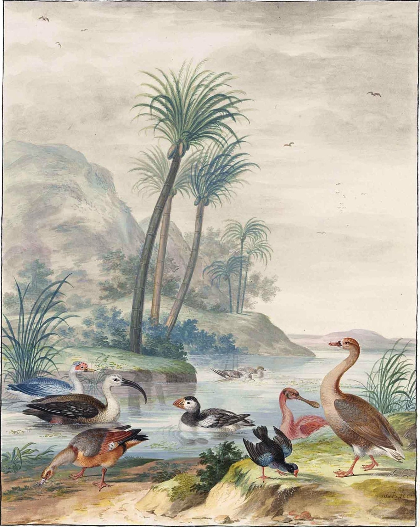 Exotic Waterbirds in a Landscape, vintage artwork by Johannes van Bronckhorst, 12x8" (A4) Poster