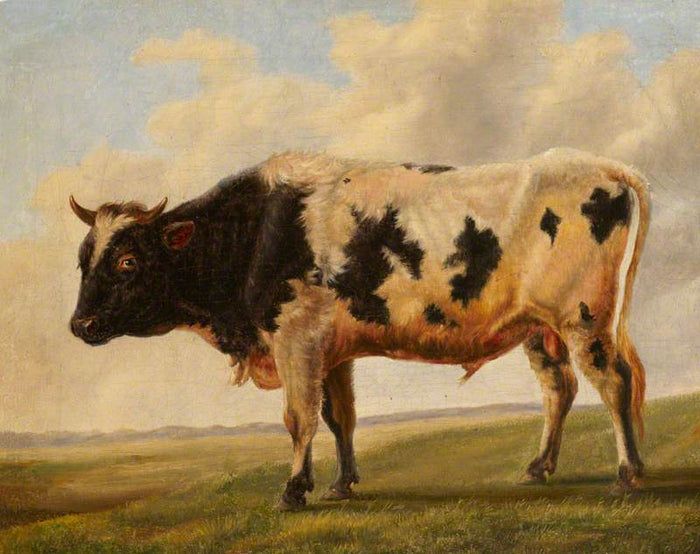 Friesian Bull in a Landscape, vintage artwork by Thomas Sidney Cooper, A3 (16x12