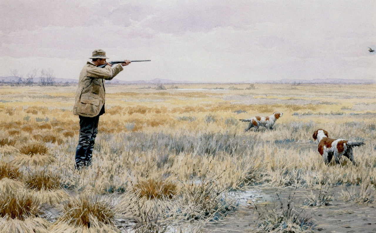English Snipe, vintage artwork by Arthur B. Frost, 12x8" (A4) Poster