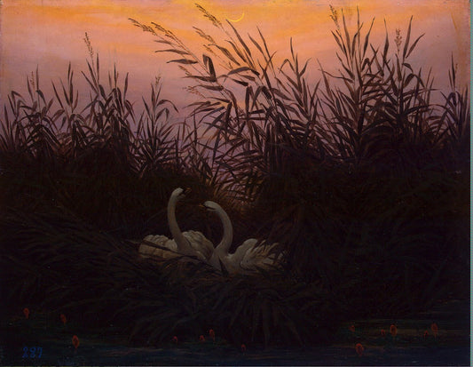 Swans in the Reeds, vintage artwork by Caspar David Friedrich, 12x8" (A4) Poster