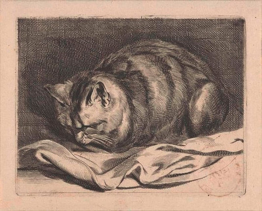 Cat Sleeping, vintage artwork by Cornelis Visscher, 12x8" (A4) Poster