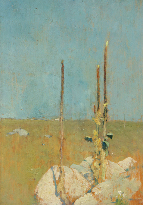 Mullein Stalks, Windham, CT by Emil (Soren Emil) Carlsen,A3(16x12")Poster